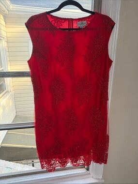 Phase Seven Red Lace-Trim Dress (Size 12)